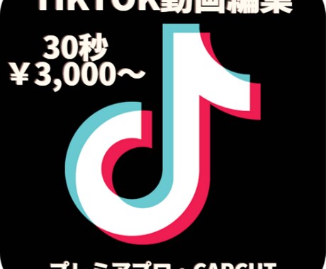 TikTok動画編集やります ショート動画限定【プレミアプロ・capcut】 イメージ1