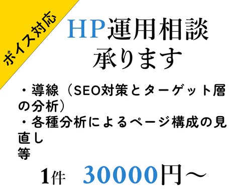 HP運用相談承ります ボイス対応で即時対応と即効性、持続的観測を行います イメージ1