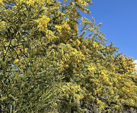 介護福祉士(ケアマネ取得済)が丁寧にお話し聞きます 1分でも全然OKです恋愛仕事等何でも丁寧にお話し聞きます イメージ2