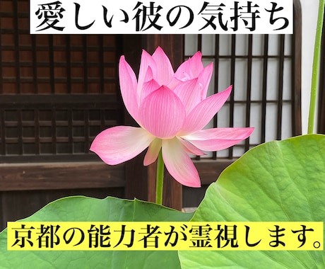 愛しい彼の気持ちを霊感・霊視・タロット鑑定します 生年月日不要。ニックネーム可。霊感・霊視に委ねてください。 イメージ1