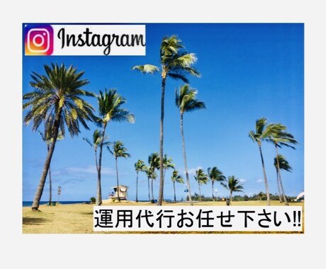 Instagramアカウント運用代行させて頂きます Instagramアカウント最大300フォロワーを増加‼︎ イメージ1