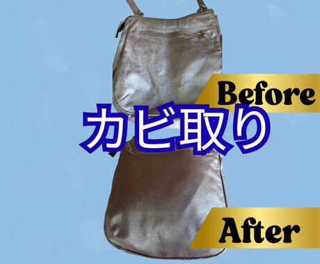 カビまみれになったバッグをクリーニングします お気に入りのバッグをまだ使おう イメージ1