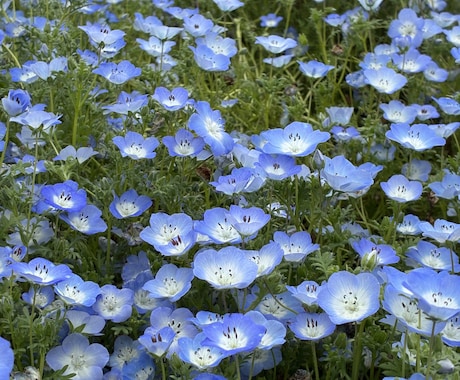 電話で雑談❤︎なんだか暇な時にも相手になります ちょっと誰かと話したい時や、暇つぶし気分転換にご利用ください イメージ2