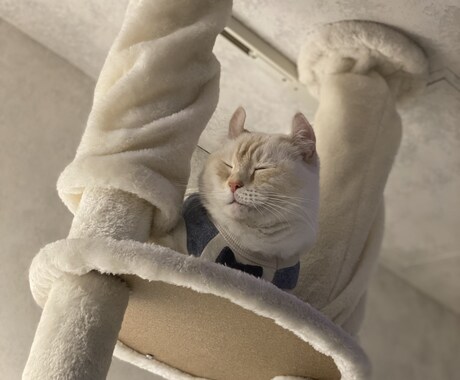 今日どんな1日？元〇嬢が愚痴、相談なんでも聞きます 現役結婚相談所カウンセラー・チャトレマネージャーと話そ♡ イメージ1