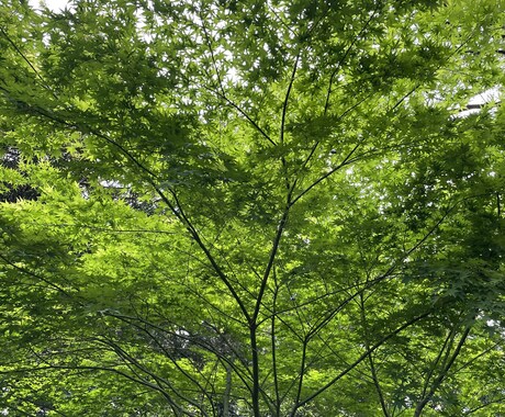 自分が話せる内容であれば何でも話ます 悩み相談、愚痴聞き等、何でも聞きます！ イメージ1