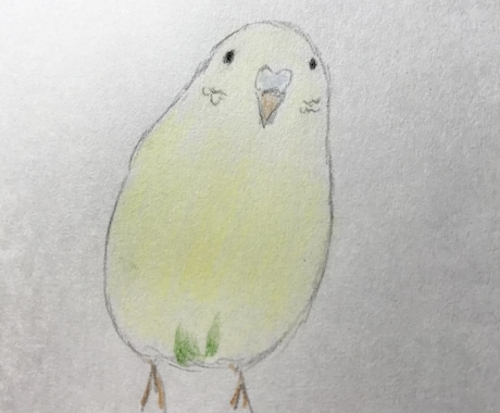 セキセイインコ ちゃんお描きします 色鉛筆と鉛筆で、やわらかい雰囲気