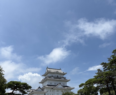 中国からのサンプル輸入代行致します 中国の工場に問い合わせても返事が来ない方へ。サポートします。 イメージ1