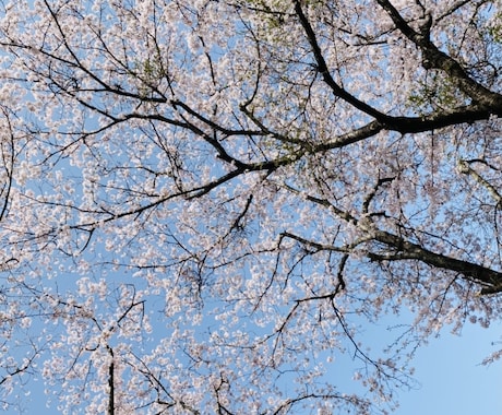 お悩み相談致します 学校、職場、恋愛など様々な相談を受け付けます。 イメージ1