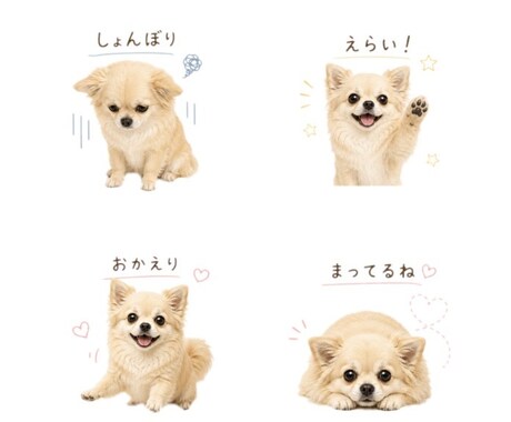 最安♡大切なペットをラインスタンプにします 大切な家族のペットを毎日使いたくなるスタンプに仕上げます♡ イメージ2