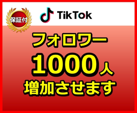 TikTokのフォロワーを1,000人増加します 30日間の減少保証が付いております。 イメージ1