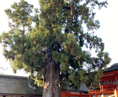 復縁成就◇霊媒師が彼の本音を読み、縁を導きます 「復縁したい、でもどうすれば」霊視にて未来をお答えいたします イメージ1