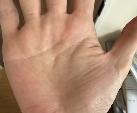 写真で丸わかり！性格・仕事・金運・恋愛を鑑定します 写真だけで本格鑑定！見える線だけを丁寧に鑑定 イメージ2