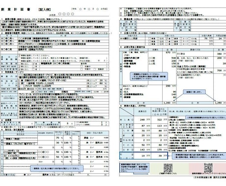 現役銀行員が日本政策公庫『創業計画書』を作成します ここでしか手に入らない！創業融資相談 完全攻略ガイドつき イメージ2