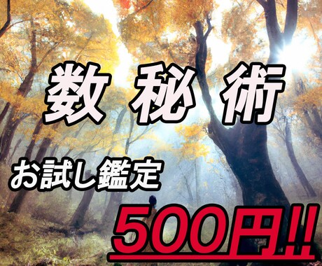 数秘術を使用して鑑定します 初心者向けなので低価格でご提供！この機会に数秘術をお試し！ イメージ1