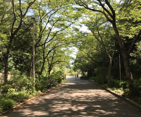 引きこもりから脱出する為のアドバイスできます 引きこもり経験あります。元気になった経験を伝えたい。 イメージ2