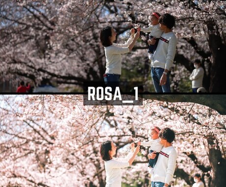 ROSA｜Lightroomプリセット販売します スマホで撮影した写真、ワンタッチで大変身！ イメージ2