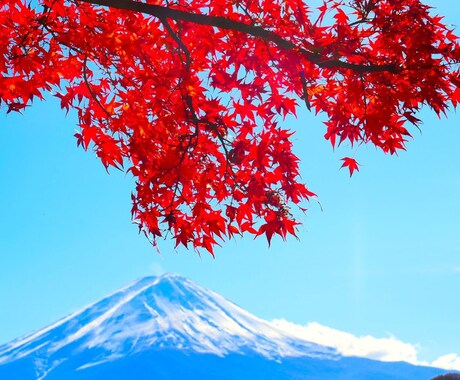 四季折々の景色を提供します 自宅の額縁用の写真を探してる人必見！ イメージ2