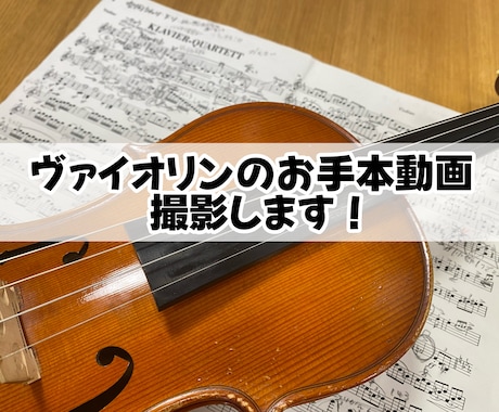 藝大卒プロヴァイオリニストがお手本動画を撮影します 藝大卒プロ奏者があなたの練習をお手伝いします イメージ1