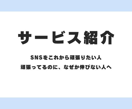SNS運用コンサル（日本市場特化）します 伸びない原因を構造から整理します イメージ1