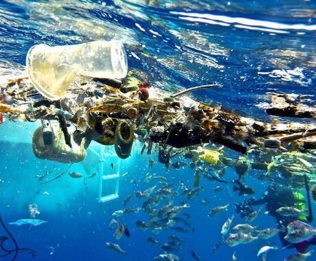 包装資材のコンサルティングをします 早く進めましょう、脱プラスチック。 イメージ1