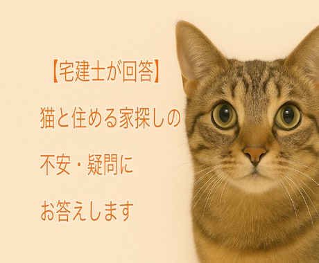 宅建士が回答⭐︎猫と暮らすヒントをお伝えします 賃貸売買・猫可物件の選び方、猫と安心して暮らしたいあなたへ イメージ1
