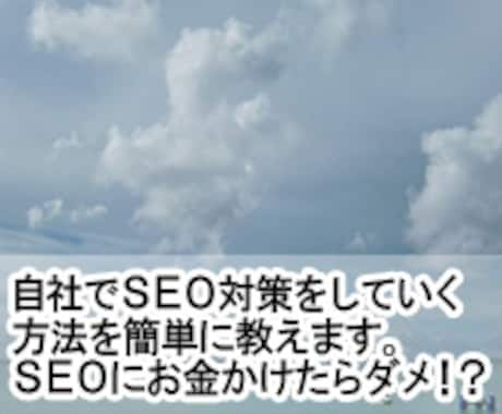 自社でSEO対策をしていく方法を簡単に教えます SEO対策で悩んだり困ったら相談下さい。 イメージ1