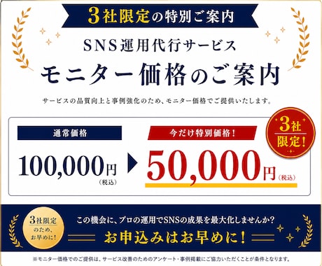 丸投げOK！売上につながるSNS運用します 戦略設計から分析・改善までまるっとサポートします イメージ2