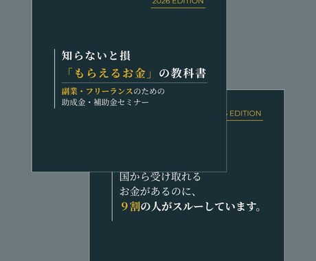 補助金セミナー集客11枚＋登壇17枚｜編集できます 【最速・成約パックフルセット】集客から受任までを完全自動化 イメージ2