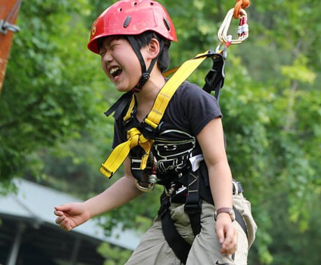 受験、補習、発達障がい、カウンセリングいたします プロの学習支援、カウンセラーが支援。社会性、協調性が身につく イメージ2
