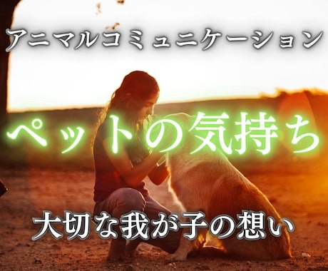 大切なペットちゃんの気持ちを霊視で読み解きます お写真から伝わるあなたへの大切なメッセージをお伝えします イメージ1