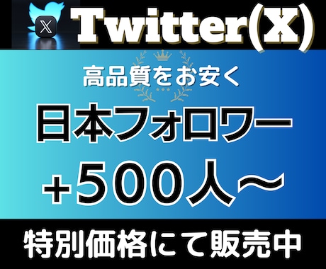 特別価格！Twitter日本フォロワー増やします ✨値上げまで残り3名！Twitterフォロワー500人✨