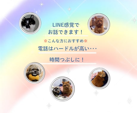 愛犬・愛猫を看取った経験者がシニア期の不安聴きます シニア期・介護の不安･･･。ひとりで抱え込まずお話ください イメージ2