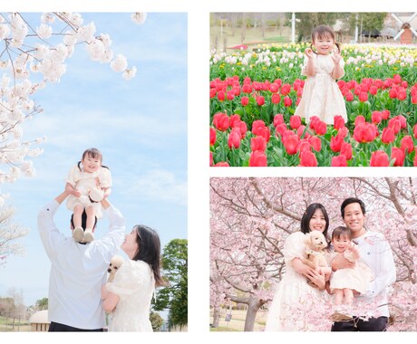 8月限定！プロ写真家がお得に出張撮影をします 個人写真・家族写真はお任せください！自然な表情を引き出します イメージ1