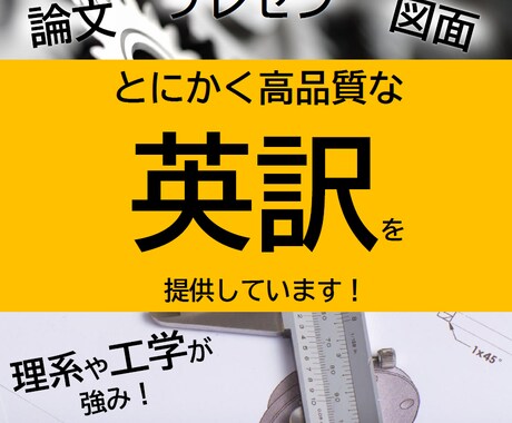高品質な理系文章の英訳を承ります 日本大手企業の現役英訳担当者、英語で国際会議で論文発表経験も イメージ1