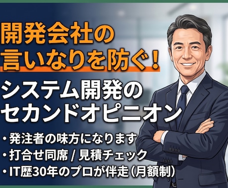開発のセカンドオピニオン！発注者の味方になります PM経験豊富なベテランが、業者との間に入り伴走サポート！ イメージ1