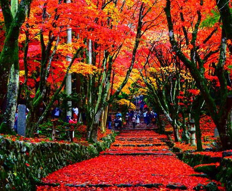 旅行の計画考えます あなただけの旅行プランご提案します。 イメージ1