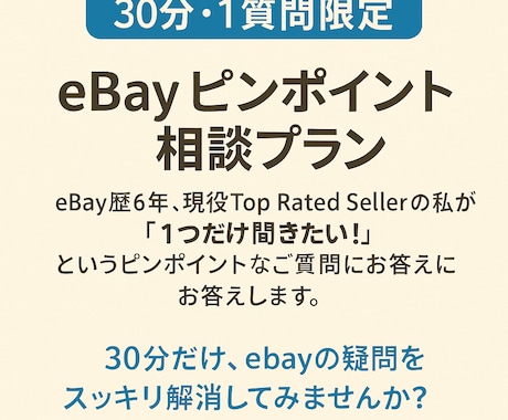 eBayの質問1つだけOK！相談お引き受けします 30分！eBayのどんなご質問にも対応します イメージ1