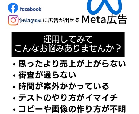 Meta広告運用コンサル◆プロが全力のご提案します 【壁打ちと相談】改善・戦略を全て視て売上コミットのアドバイス イメージ2