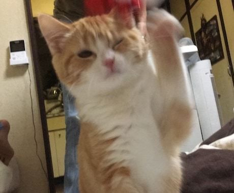 あなたのネガティヴをポジティヴに変えます 嫌なこと、辛いこと、悩みがあるあなたへ イメージ1