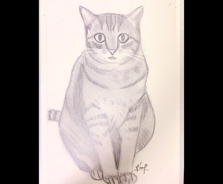 ペットの写真鉛筆画で描きます 大事なペットの似顔絵、リアルに鉛筆画で色紙に描きます イメージ2