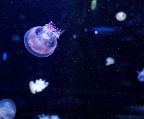 憂鬱な朝に寄り添います 気持ちすごくわかるよ。私も行けなかったから。 イメージ1
