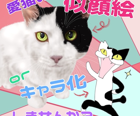 愛猫ちゃんの似顔絵、キャラ化など致します イラストならではの癒し、コミカルをあなたにお届けします イメージ1