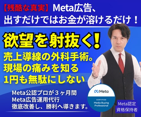 ３０億実績Meta認定プロが広告を３ヶ月代行します 負け戦は今日で終結。Meta公認プロが３０億の技術で運用。 イメージ1