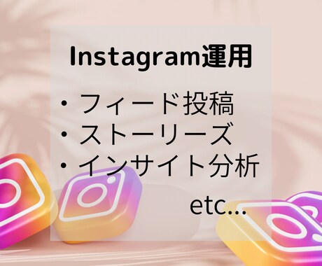 Instagramの運用代行、コンサル対応致します 効果的な運用をさせていただきます！ イメージ1