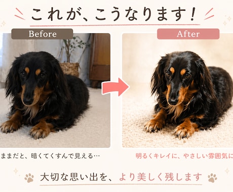 昔のペットの写真でも、綺麗に残します 色褪せてしまった思い出写真も、可愛く綺麗な形に整えます。 イメージ1