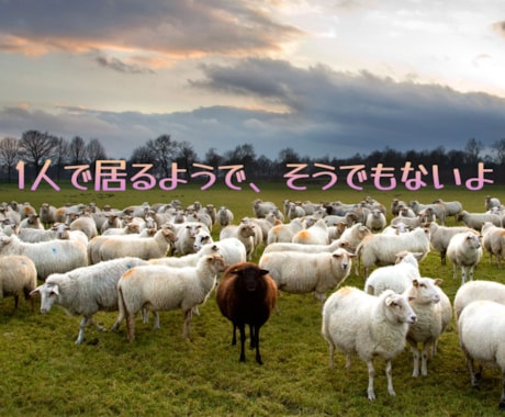 苛め類…引きこもり…親御さんのサポート、支援します カウンセリングルームの代表者。多様な経験あり、ともに歩みます イメージ1
