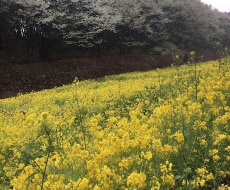 あなたの恋、仕事、人間関係などお悩みごとを占います どちらの方向へ進むか迷った時。 イメージ1