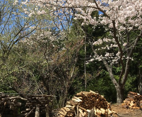 山間部への移住についてなんでも相談にのります イメージ1