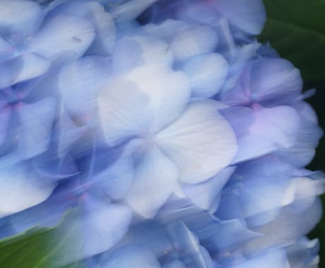 川崎市緑ヶ丘霊園限定：お墓の草むしりと掃除承ります 【3名限定のモニター価格】草が生い茂っていても大丈夫！ イメージ1