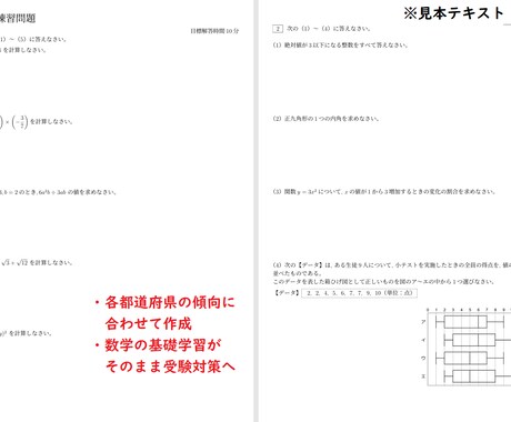 公立高校入試対策（数学）！オンライン指導をします 各都道府県の入試傾向に合わせたオリジナルテキストで指導します イメージ2